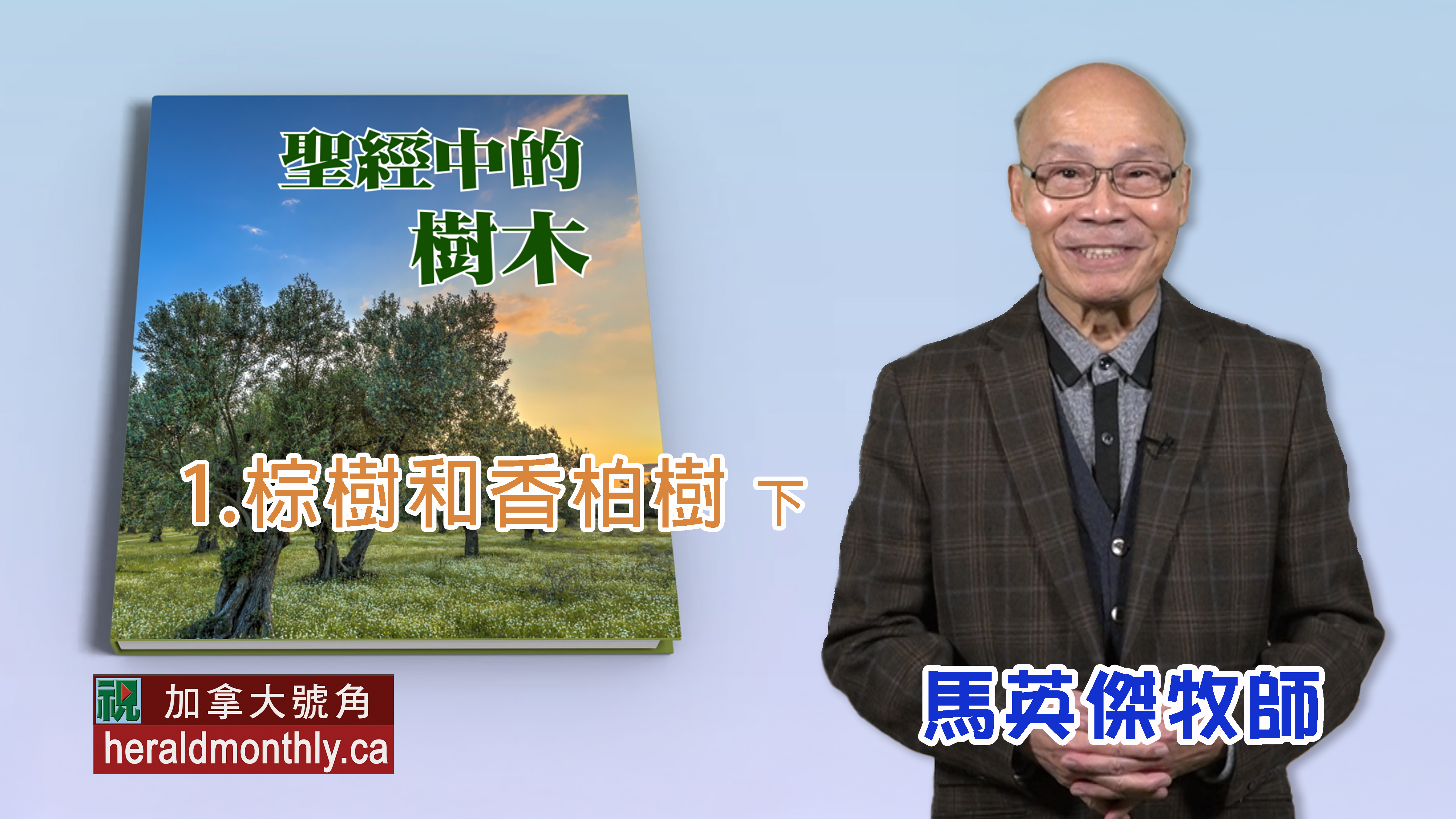 《聖經》中的樹木：棕樹和香柏樹(下)